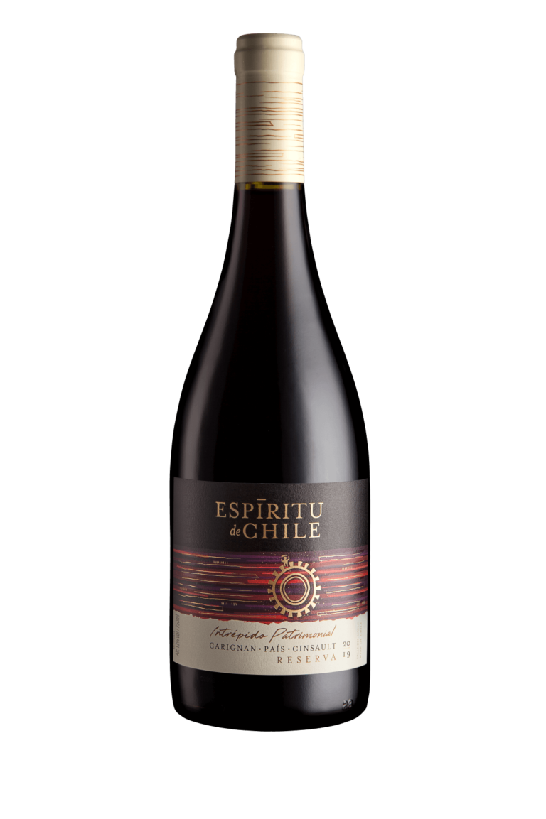 Intrépido Patr Tinto_mid size