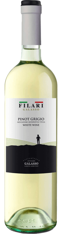 1Rendering Filari Pinot Grigio