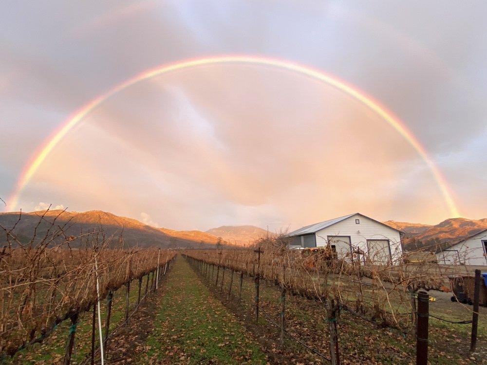 rainbow2